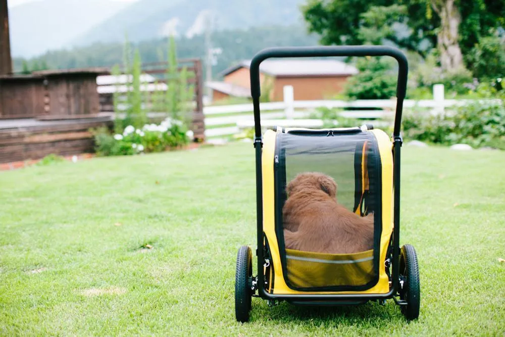 AirBuggy Carriage