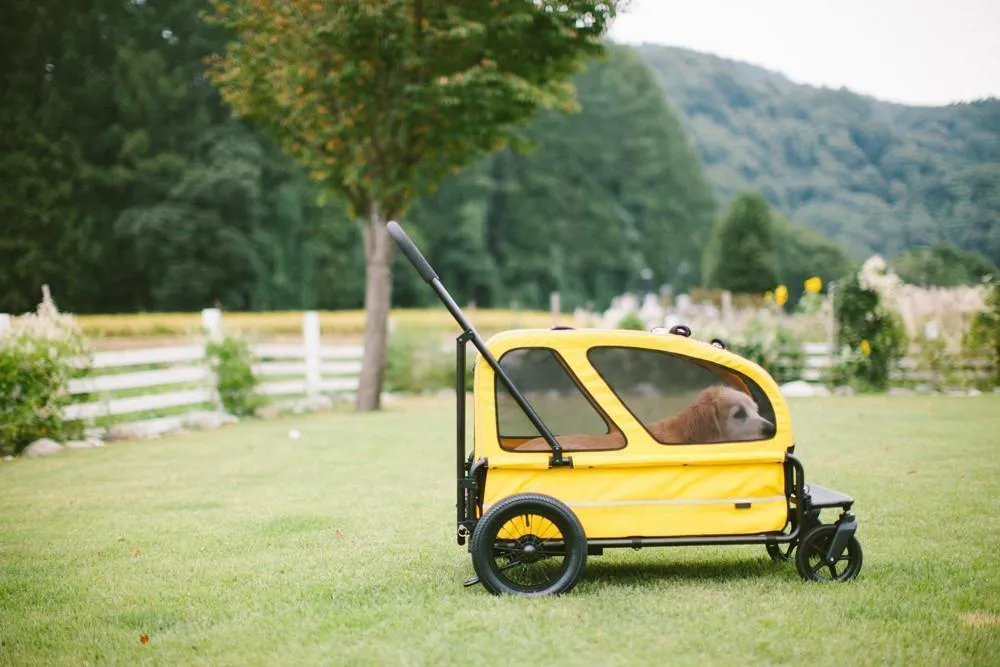 AirBuggy Carriage