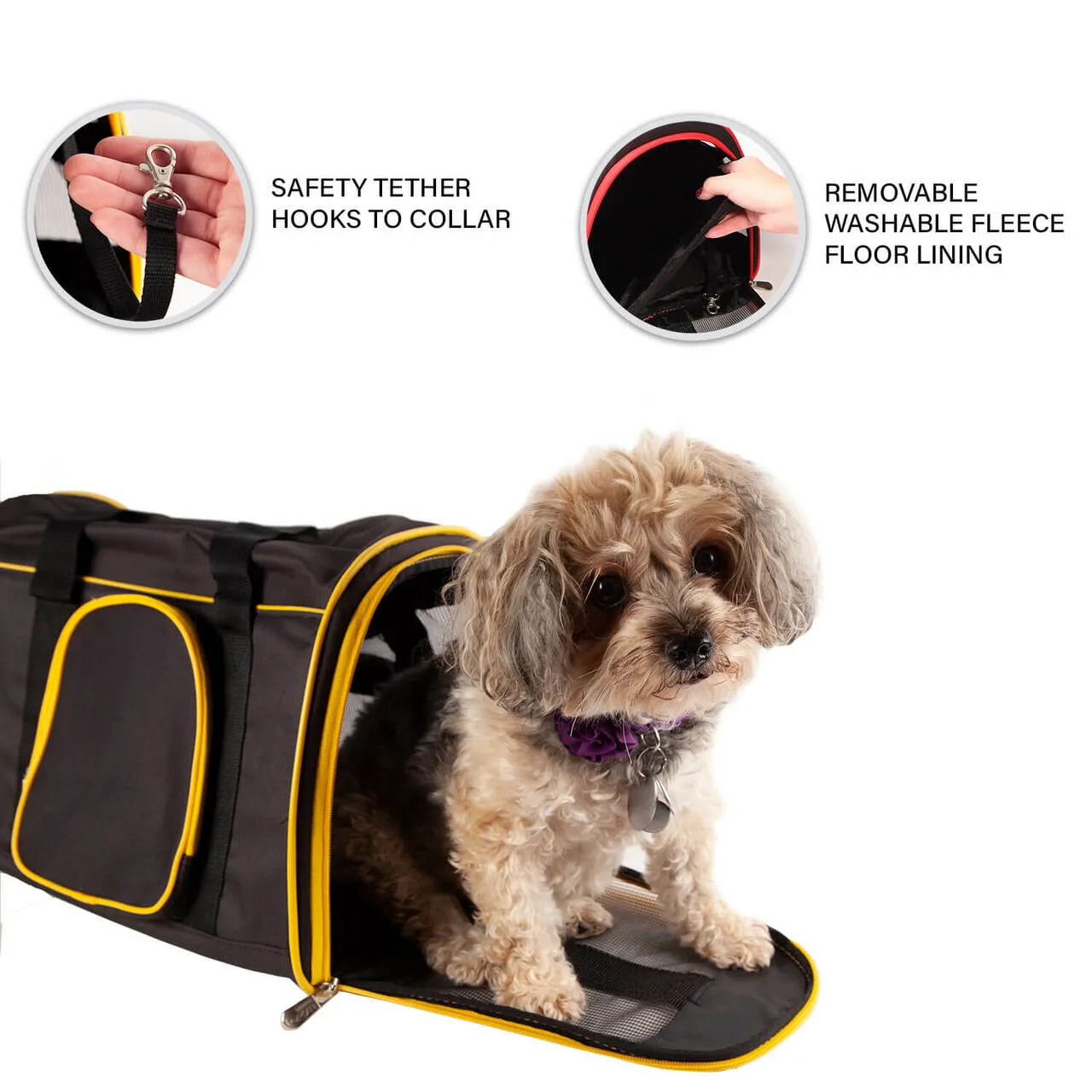 Baylor 16" Premium Pet Carrier