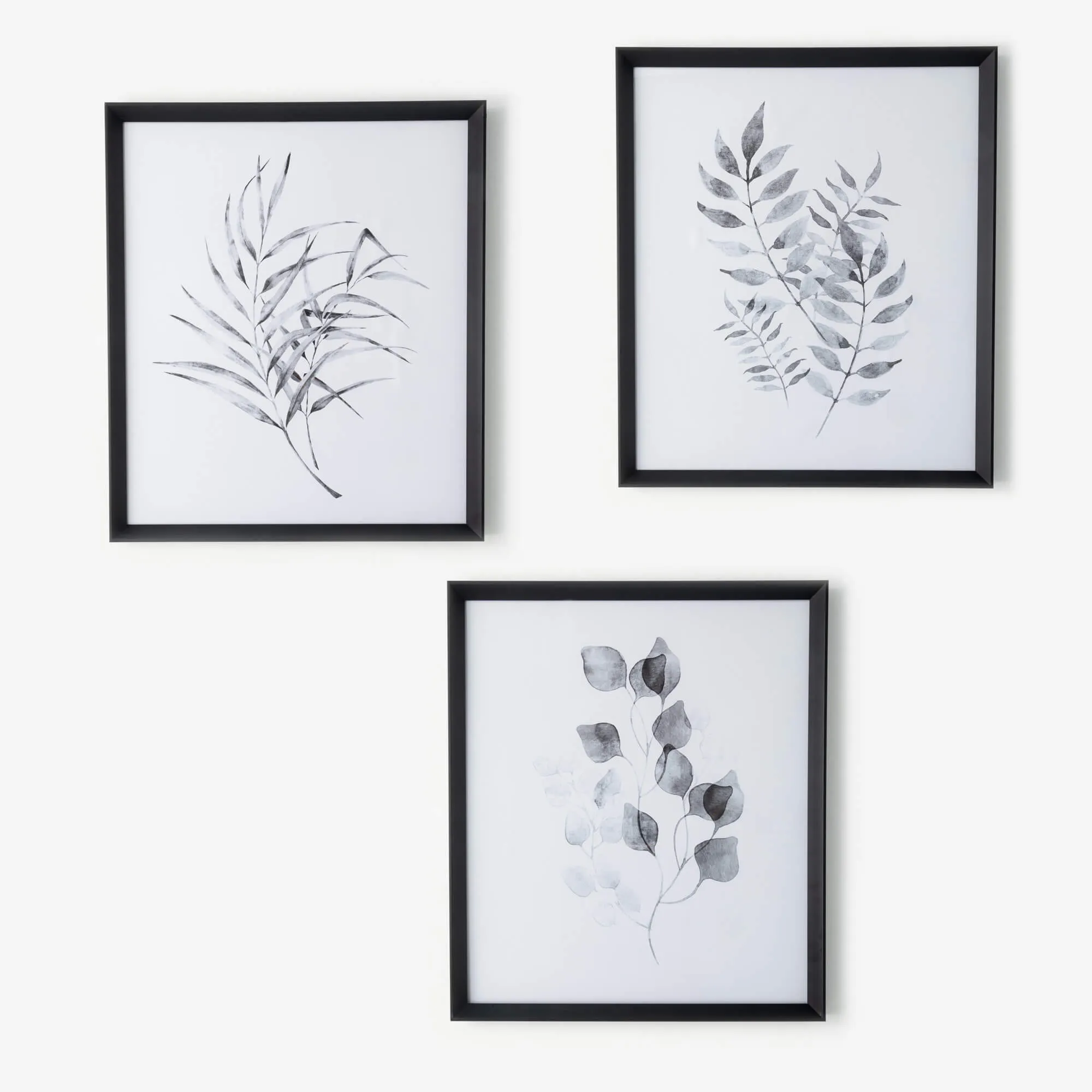 Botanical Wall Decor Trio