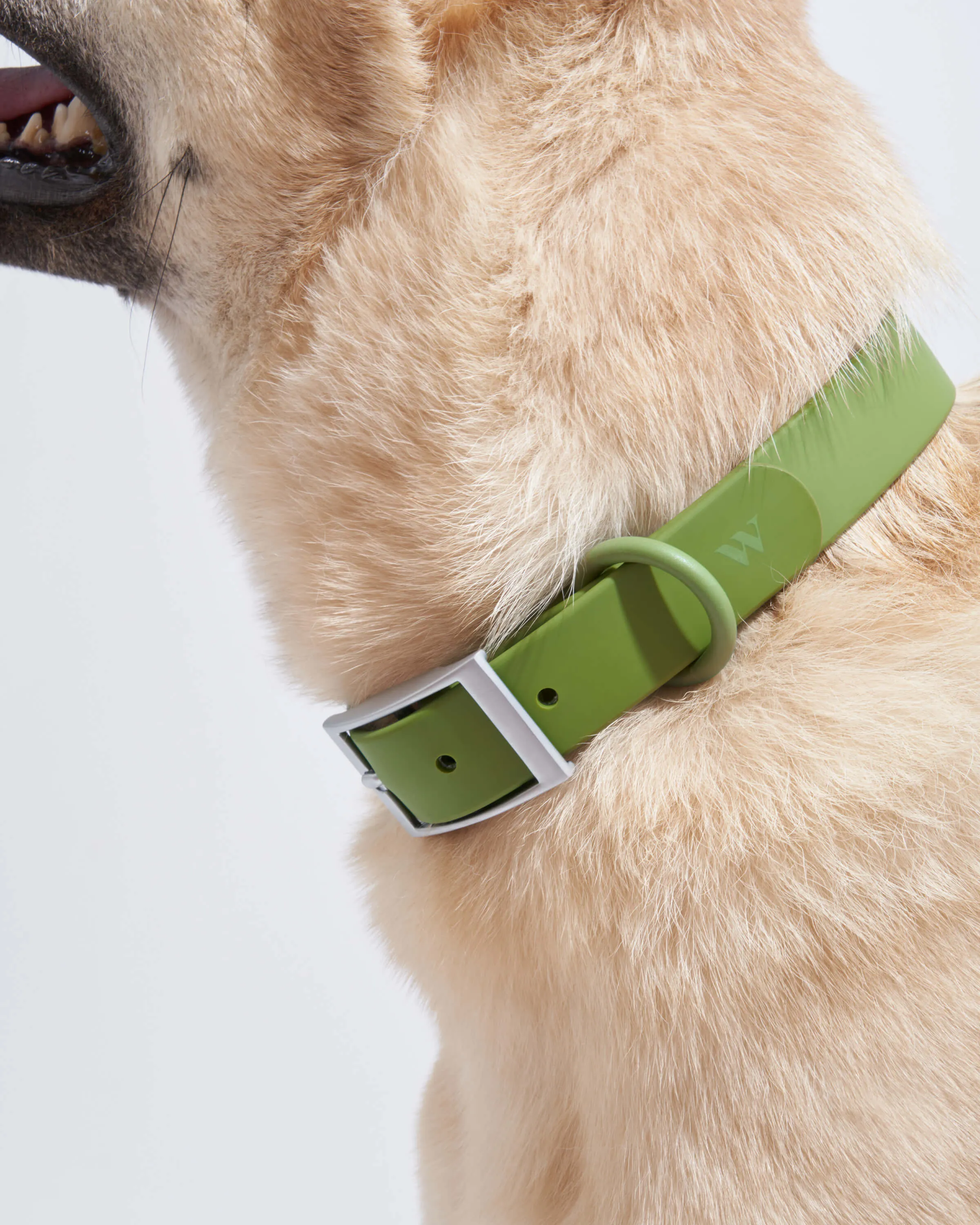 Collar Walk & Treat Kit