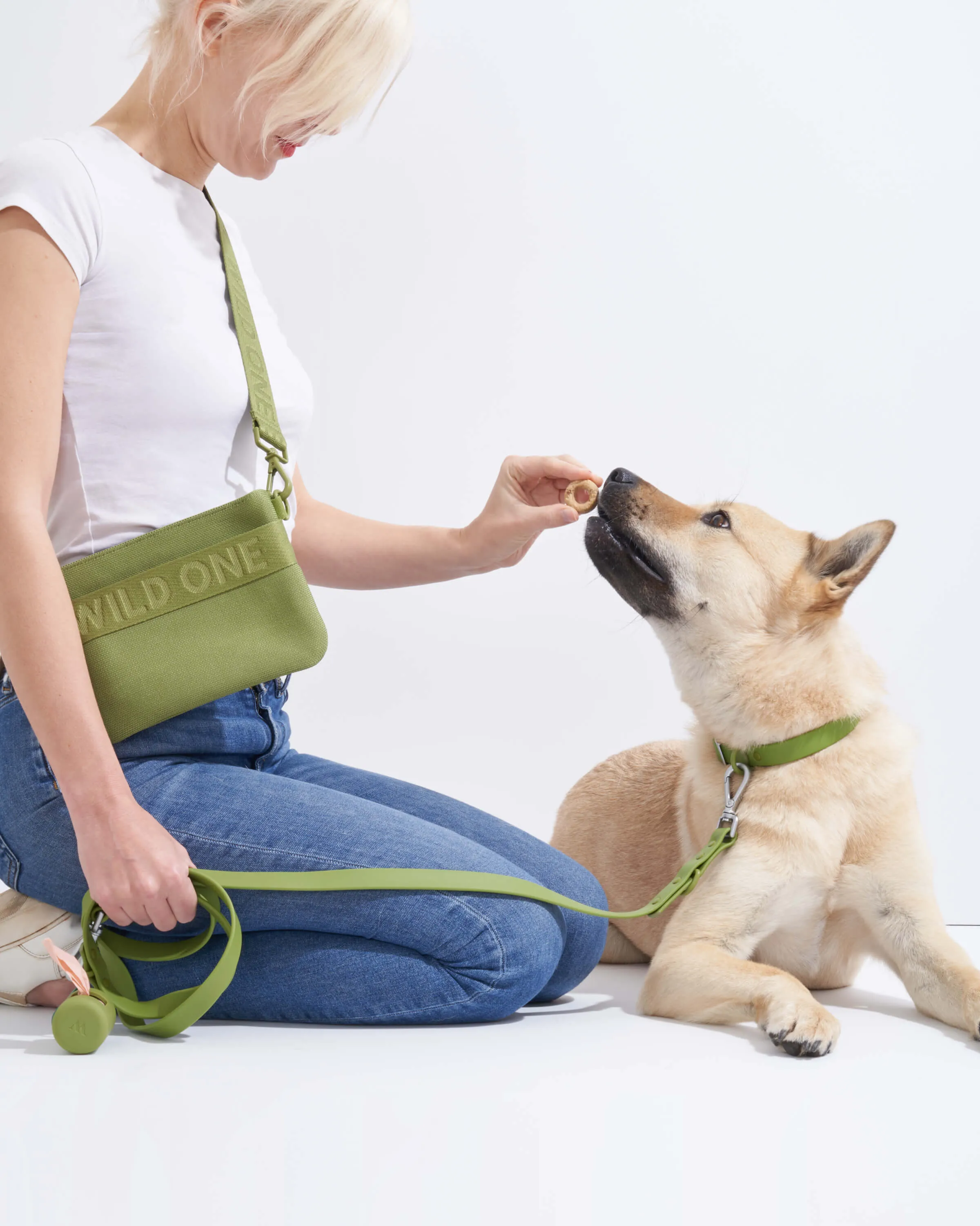 Collar Walk & Treat Kit