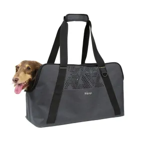 Ibiyaya Dachshund Breezy Wanderer Long Bodied Dog Pet Tote Bag