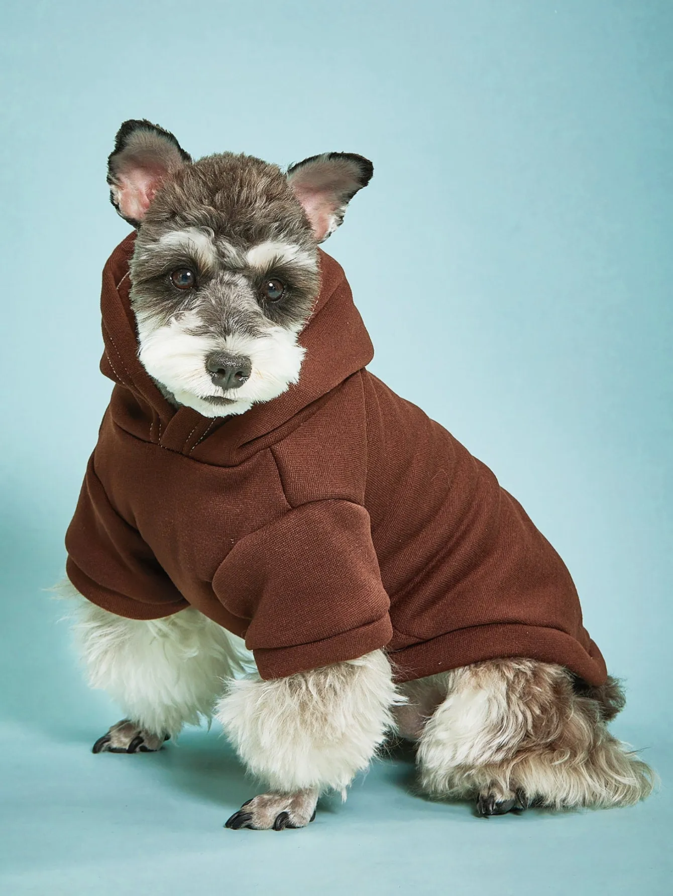 Solid Color Pet Hoodie