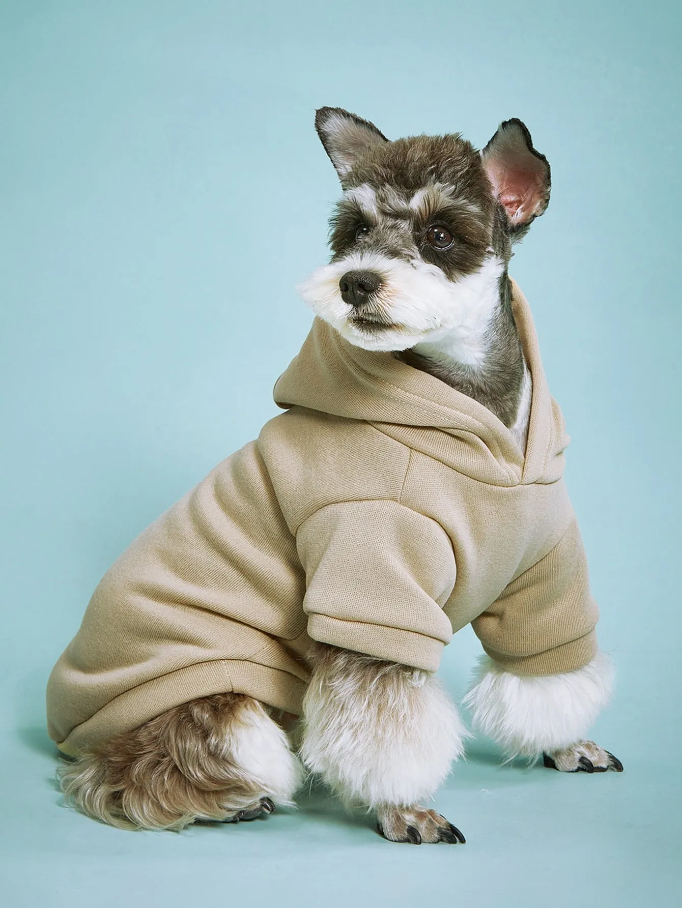 Solid Color Pet Hoodie