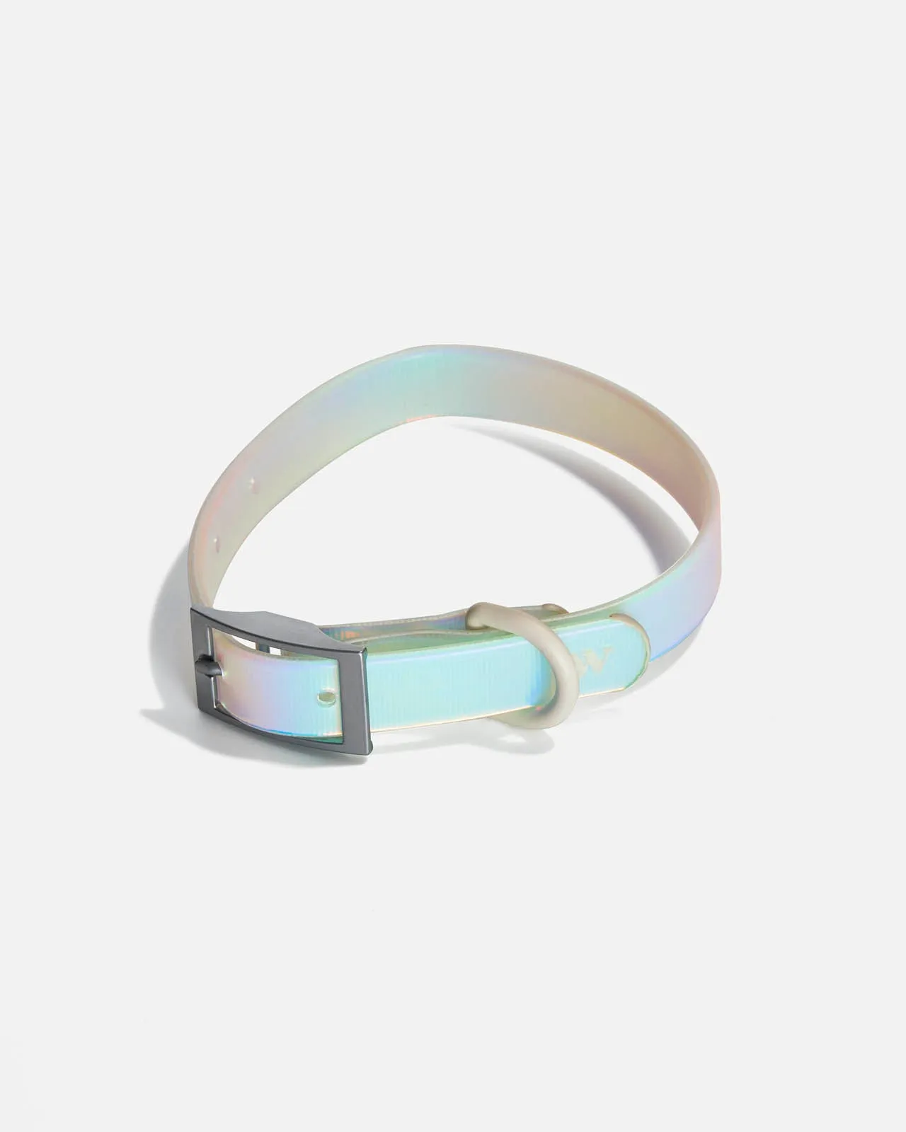 Splendid x Wild One Dog Collar