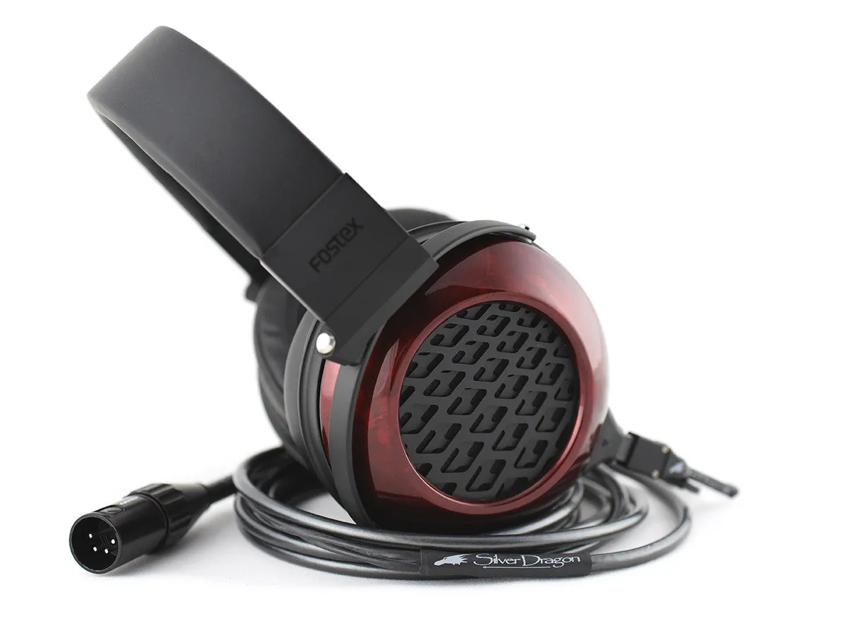 TH909 Premium Headphones